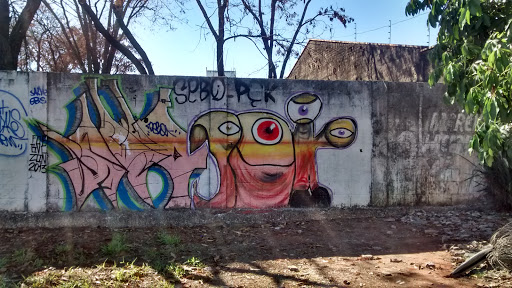 Grafite - Zóin