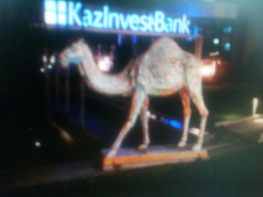 Camel KazInvest Bank