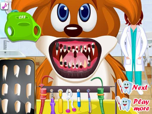 Cute Animal Dentist