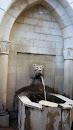 Hasroun Water Fountain