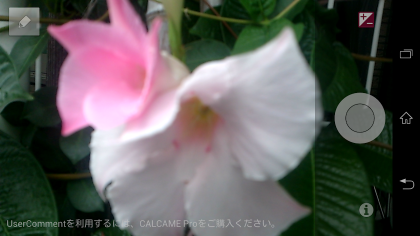 CALCAME simple 1280x960 camera Screen 1