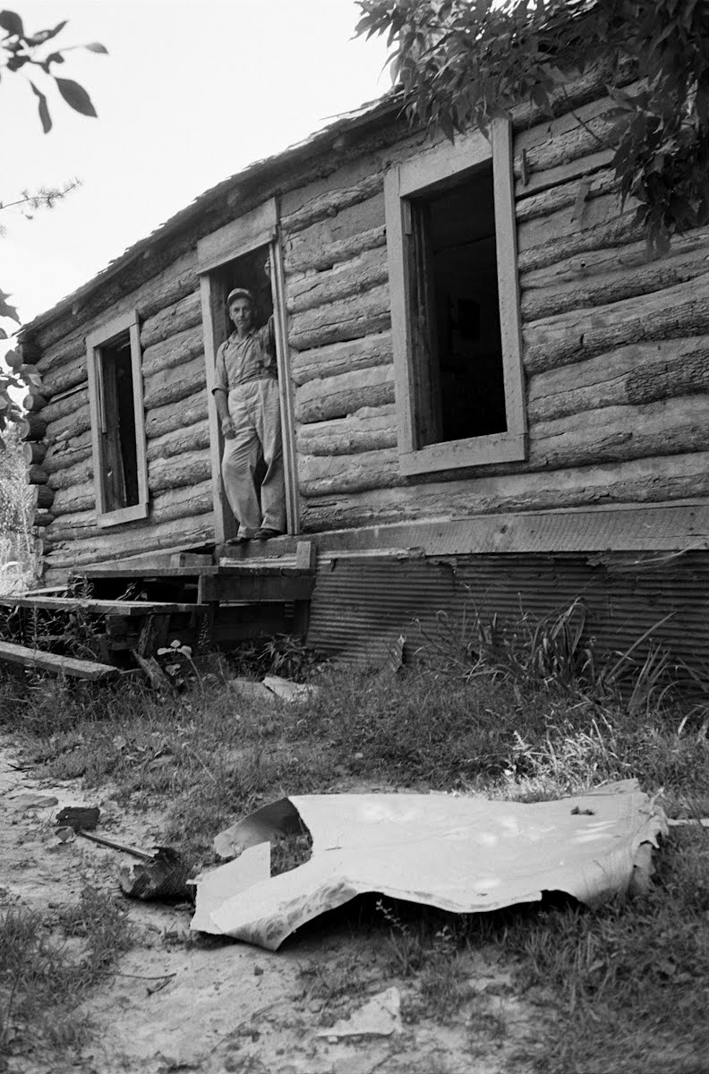 Shoals — Google Arts & Culture
