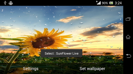 免費下載個人化APP|Sunflower live wallpaper app開箱文|APP開箱王