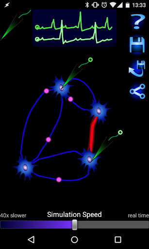 Neural Network Simulator