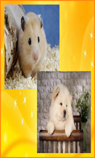 Free Cute Animals Jigsaw Puzzles APK