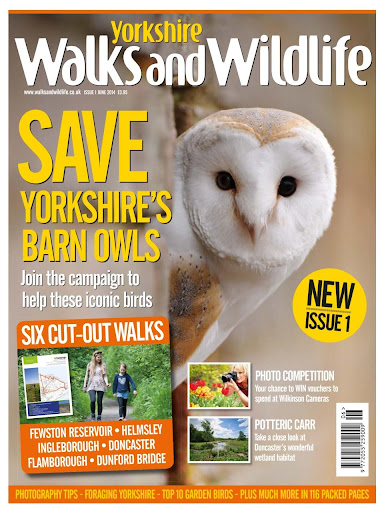 Yorkshire Walks Wildlife