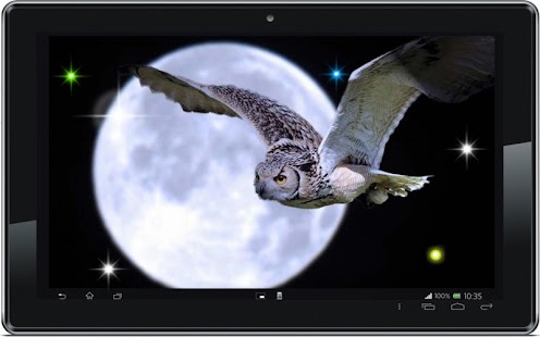 Owl Collection live wallpaper Screenshots 1