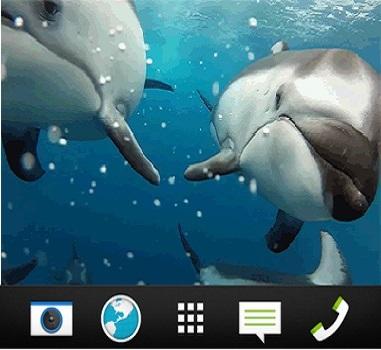 【免費個人化App】Dolphin wallpaper LIVE-APP點子