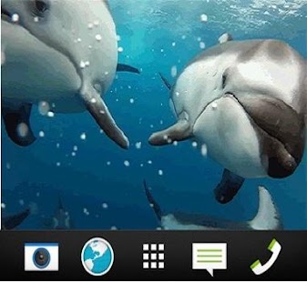 Free Dolphin wallpaper LIVE APK
