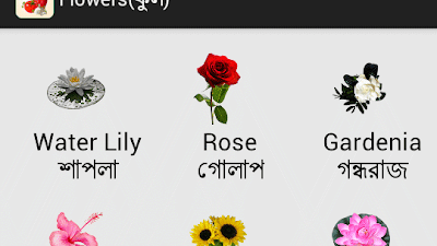 Night Queen Flower Translation Bengali