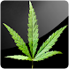 3D Grass (PRO)