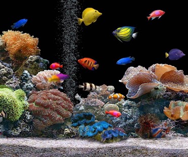 How to install Aquarium Live Wallpaper 1.0 apk for bluestacks
