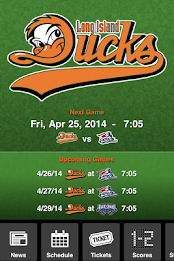 Long Island Ducks poster 1