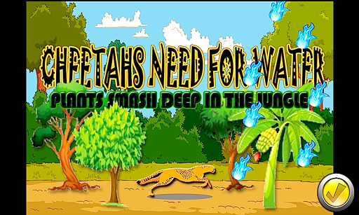 CHEETAHS NEED FOR WATER