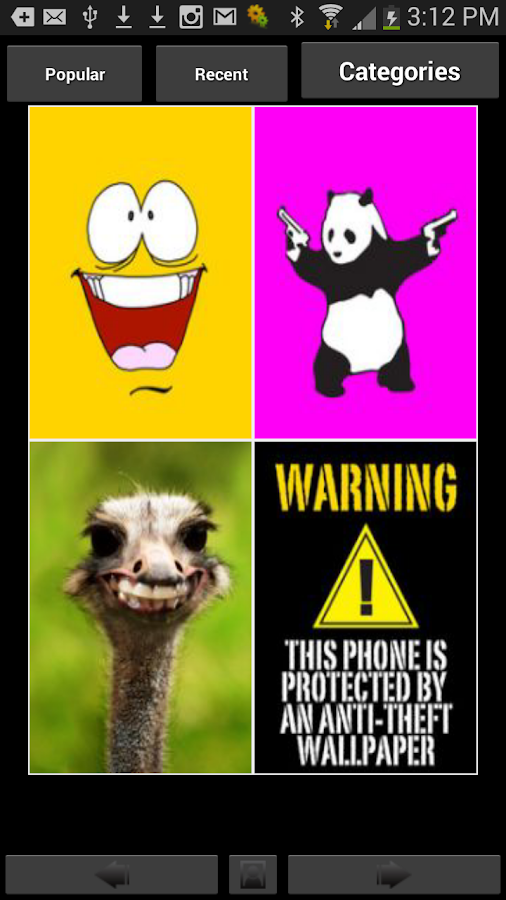 rent car without insurance