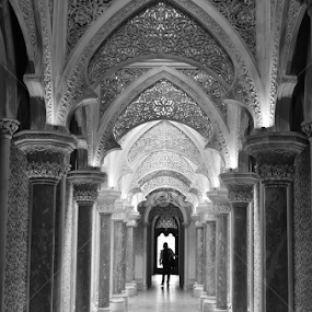 Palacio Monserrate by Maria Ferreira - Buildings & Architecture Architectural Detail