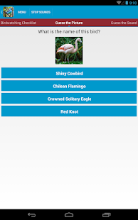 South American Birds Sounds Screenshots 11