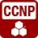 Cisco network Pro (CCNP)