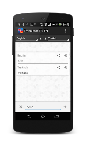 Turkish-English translator