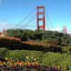 San Francisco Wallpapers-Free