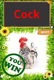 Kids Education Puzzle - screenshot thumbnail