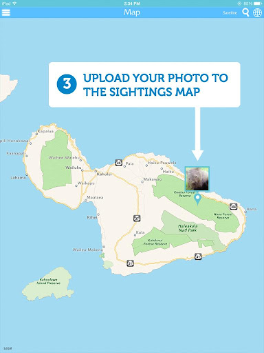 【免費旅遊App】Maui Hawaii Snorkeling Guide-APP點子