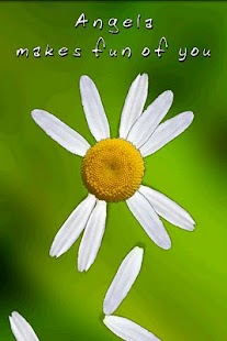 Lastest Daisy Wishes APK for Android