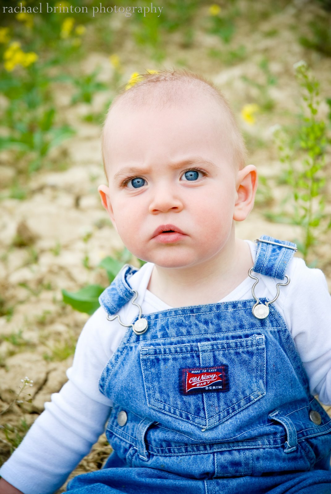 [May 2008-650[9].jpg]