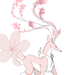 Cherry blossom