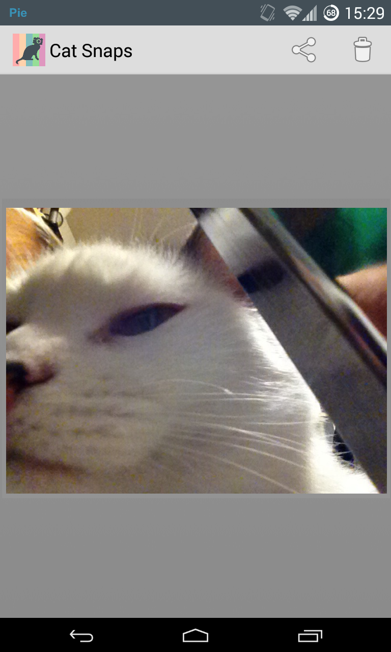 Cat Snaps - Selfies for Cats! Screen 2