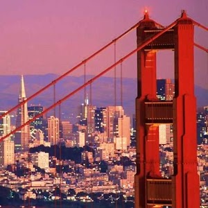 SF Daily logo