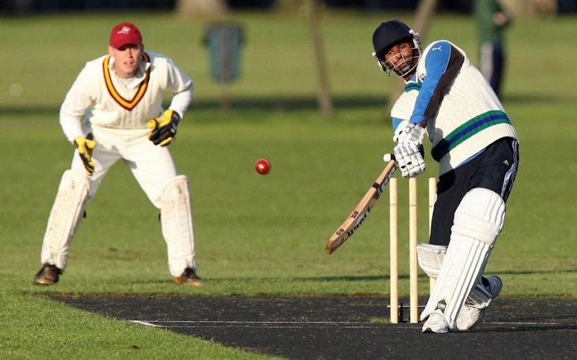 Best Cricket Games for Mobiles Screen 3
