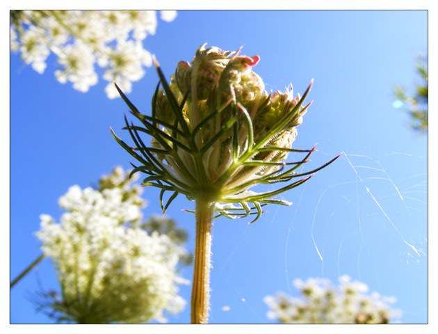 [2008_08050086 copy[3].jpg]