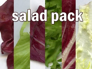 [Salad_Pack_by_rev_jesse_c_stock[4].jpg]