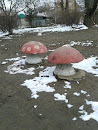 Two Mushrooms 