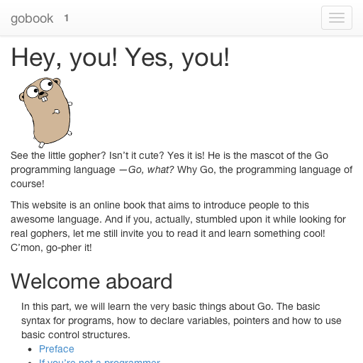 go golang book