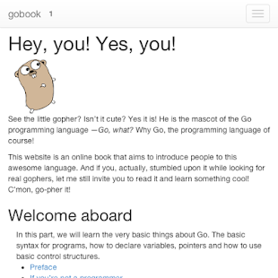 go golang book Screenshots 2