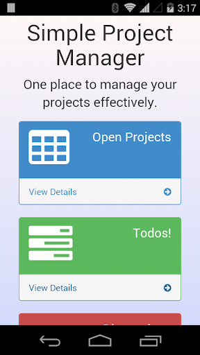 Project Manager