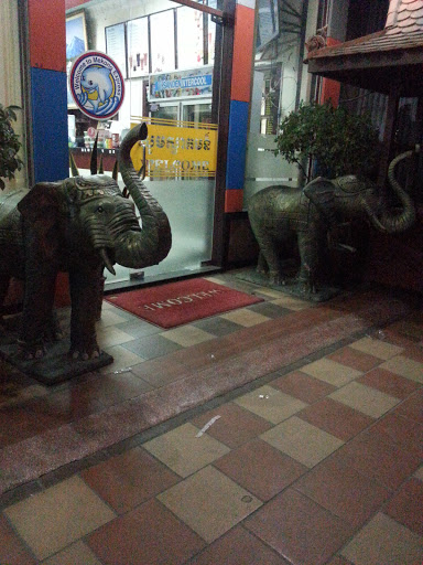 Mekong Express Guardian Elephant