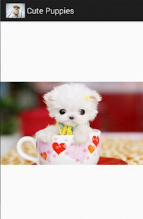 cute puppies Screenshots 1
