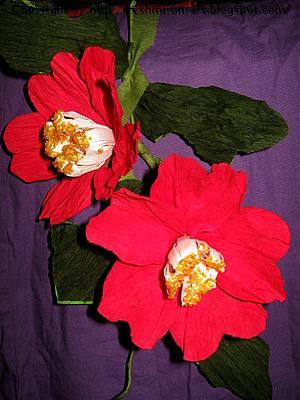 Duplex flowers-Camelia Flowers