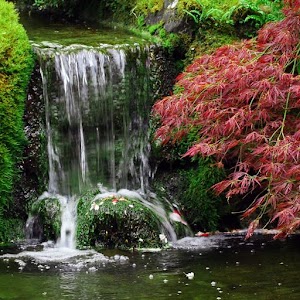Japanese Gardens Wallpaper.apk 3.6.0.0