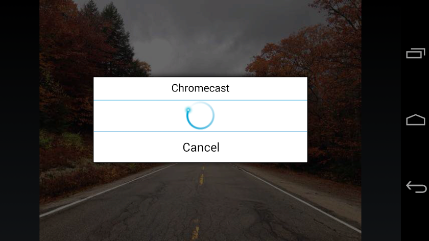 ES Chromecast plugin Screen 3