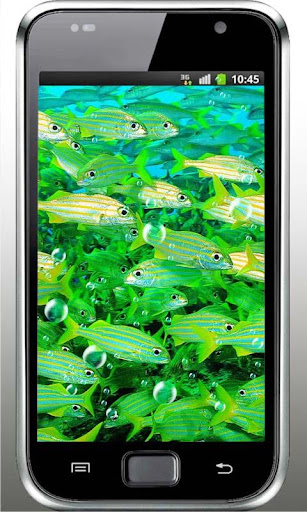 Fishes Racing live wallpaper