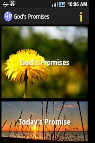 God's Promises in the Bible