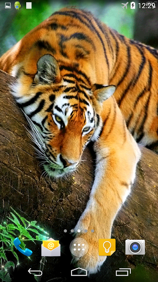 Tiger 3D Live Wallpaper - Android Apps on Google Play