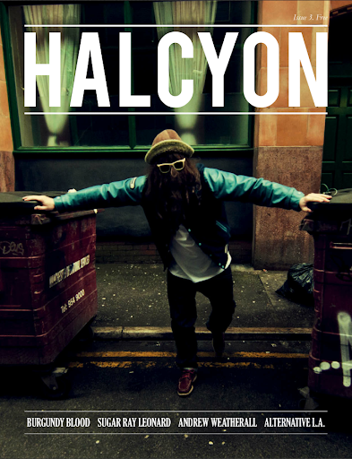 【免費生活App】Halcyon Mag-APP點子