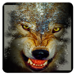 Cover Image of Download Wolf n Snowfall Live Wallpaper 1.0.1 APK