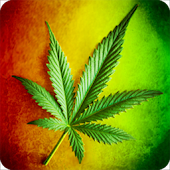 Marijuana Rasta LWP Animé