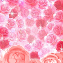 Kira Kira?Jewel(No.93)Free logo